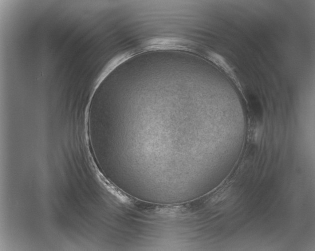 X0000060551386200511101526