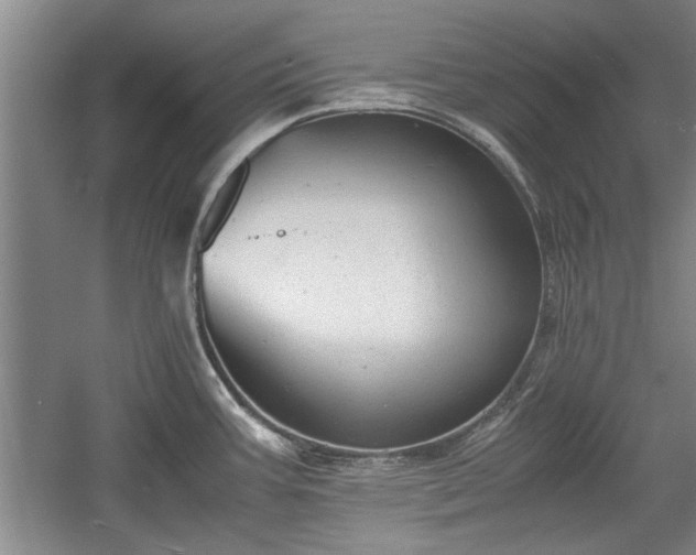 X0000060551387200511101526