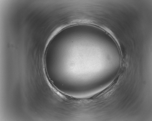 X0000060551389200511101526