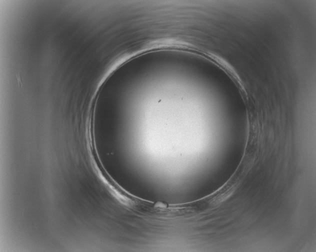 X0000060551391200511101526