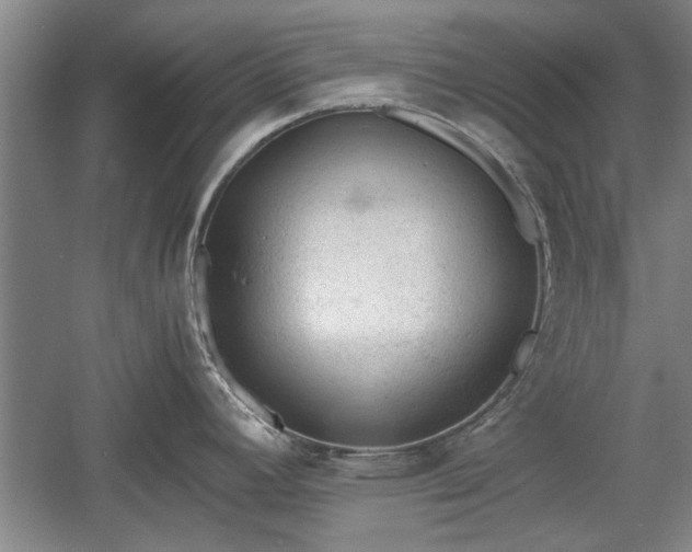 X0000060551392200511101526