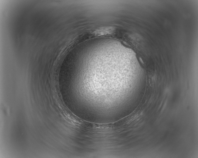 X0000060551393200511101525