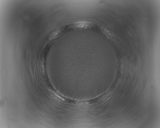 X0000060551394200511101525