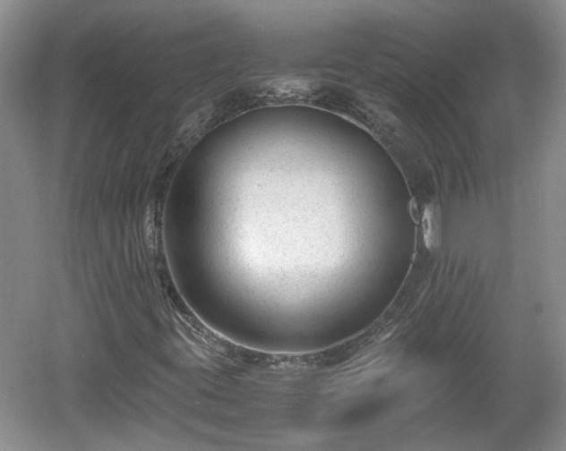 X0000060551395200511101525