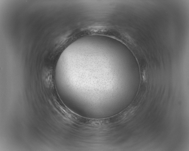 X0000060551396200511101525