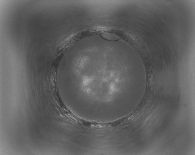 X0000060551397200511101525