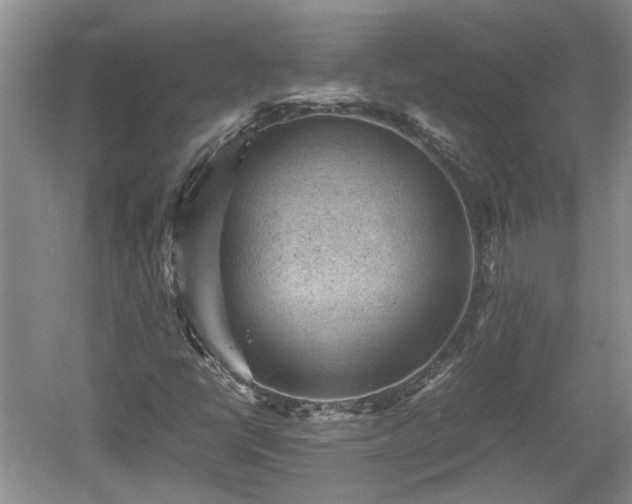 X0000060551398200511101525