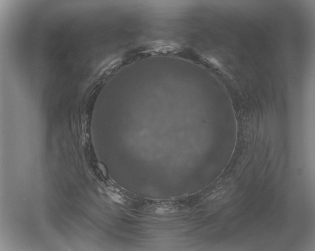 X0000060551399200511101525