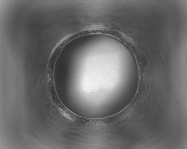 X0000060551400200511101525