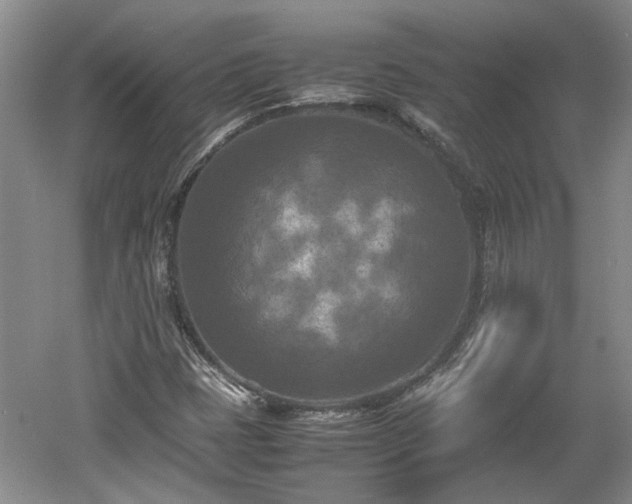 X0000060551401200511101525