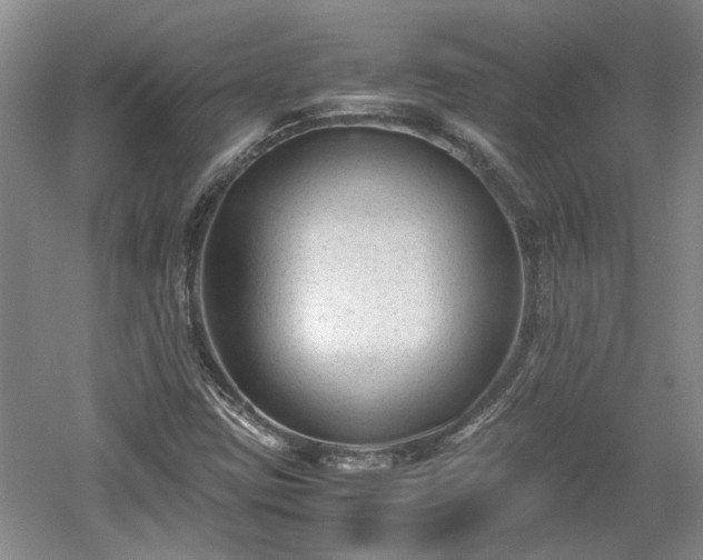 X0000060551403200511101525