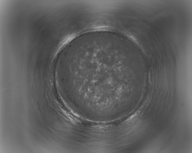 X0000060551405200511101525