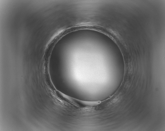 X0000060551406200511101525