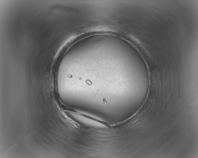 X0000060551408200511101525