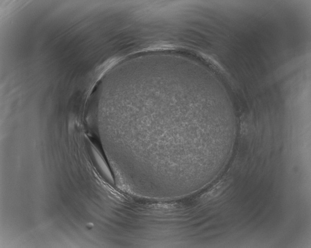 X0000060551409200511101525