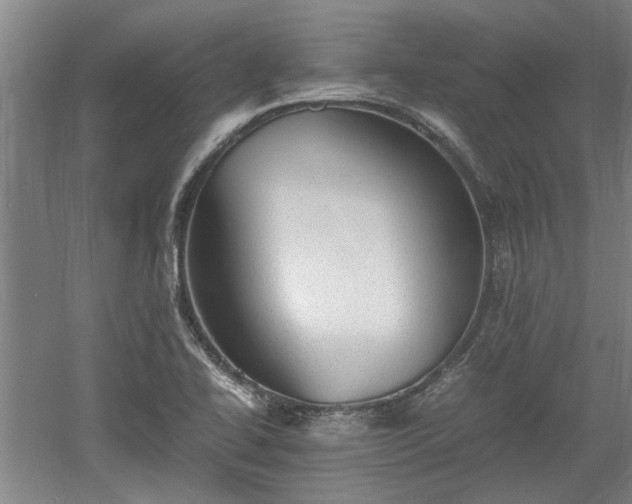 X0000060551414200511101525