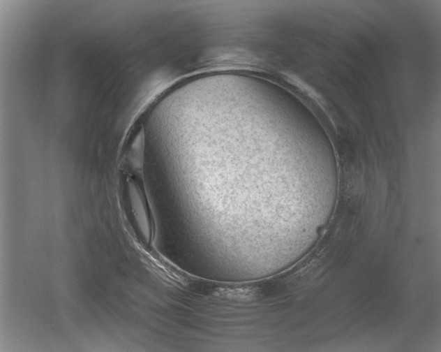 X0000060551415200511101525