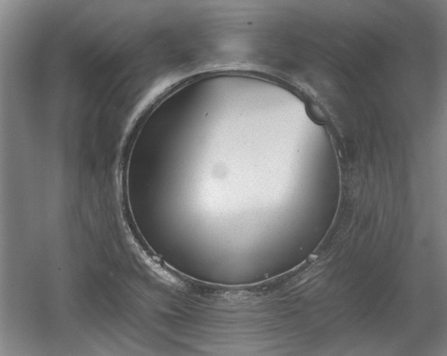 X0000060551416200511101525