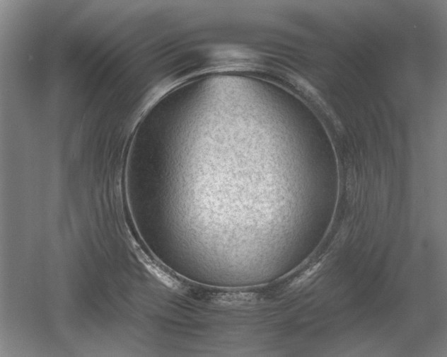 X0000060551417200511101525