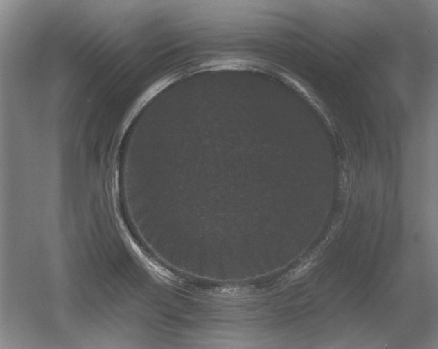 X0000060551418200511101525