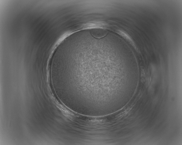 X0000060551419200511101525