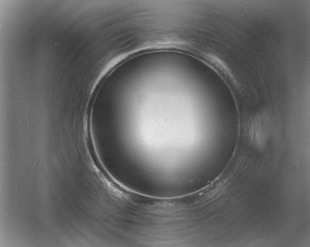 X0000060551420200511101525