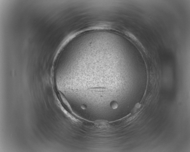 X0000060551421200511101525