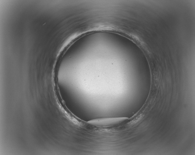 X0000060551422200511101525