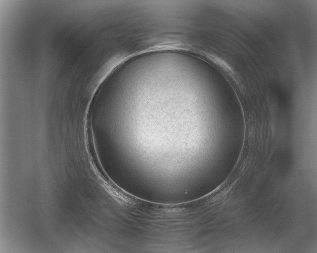 X0000060551423200511101525