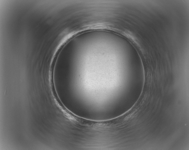 X0000060551424200511101525