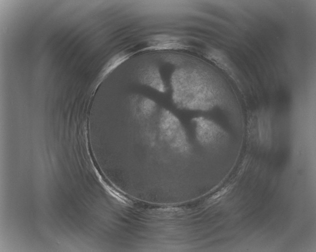 X0000060551425200511101525