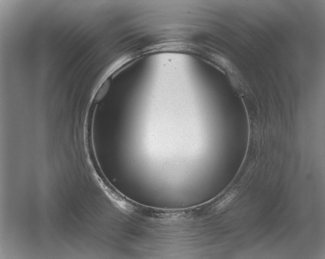 X0000060551426200511101525