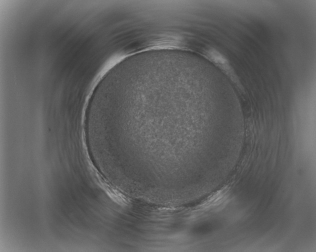 X0000060551427200511101525