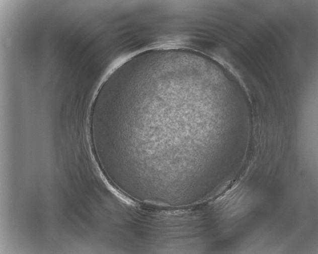 X0000060551429200511101525