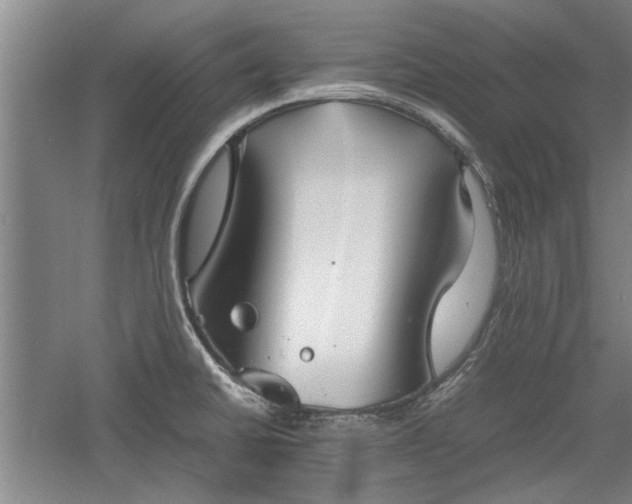 X0000060551430200511101526