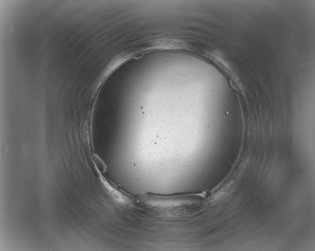 X0000060551433200511101526