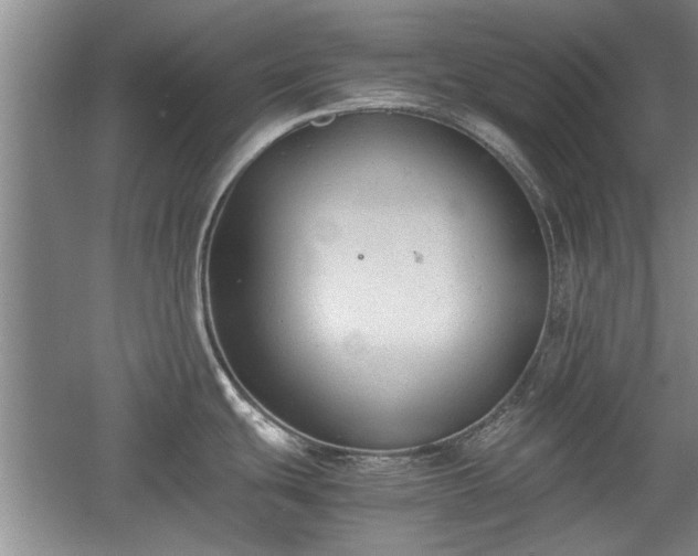 X0000060551439200511101526