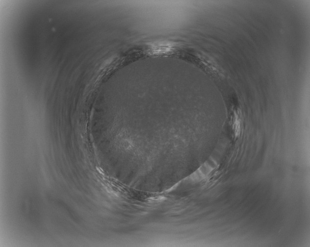 X0000060551441200511101525