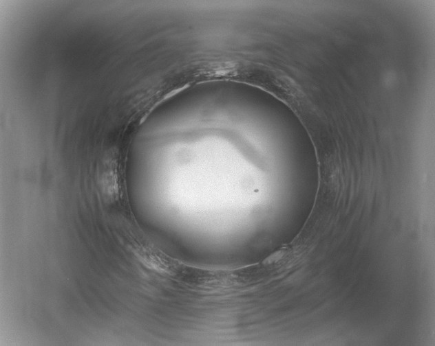 X0000060551442200511101525