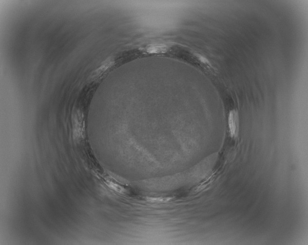 X0000060551443200511101525