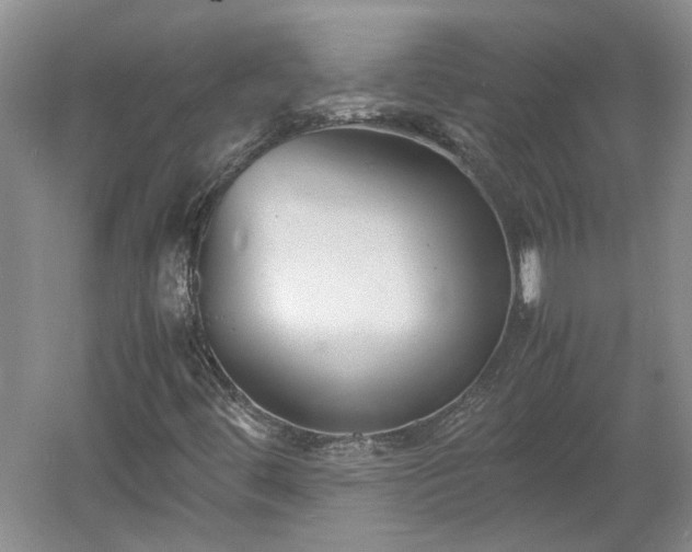 X0000060551444200511101525