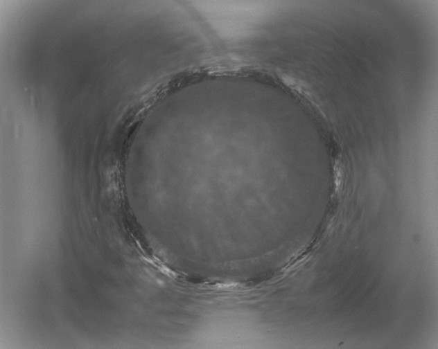 X0000060551445200511101525