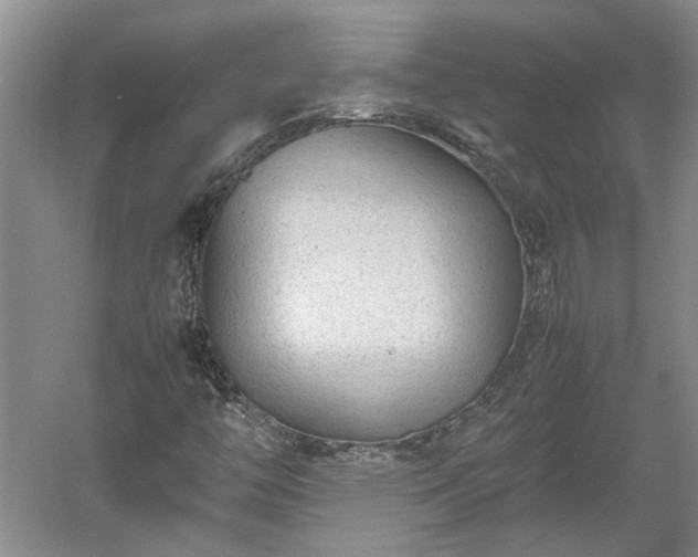 X0000060551446200511101525