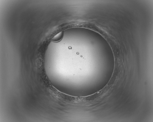 X0000060551447200511101525