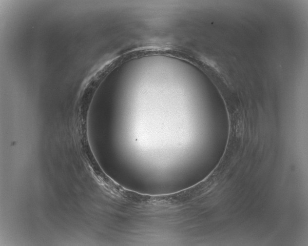 X0000060551448200511101525