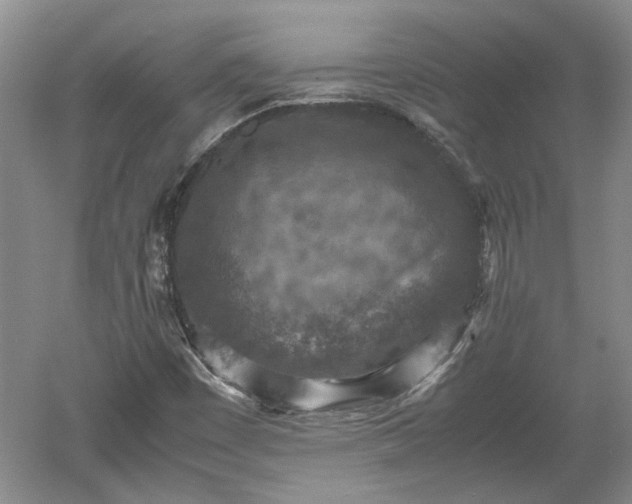 X0000060551449200511101525