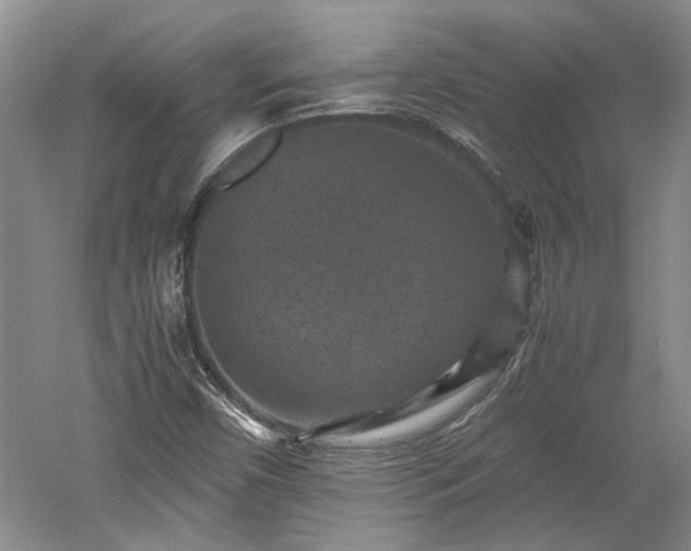 X0000060551450200511101525