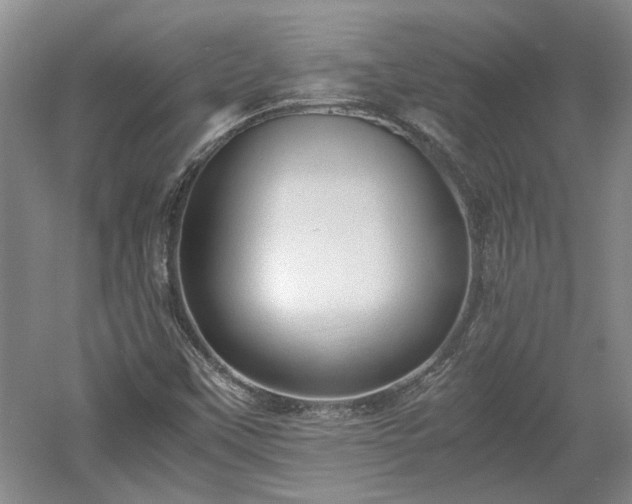 X0000060551451200511101525