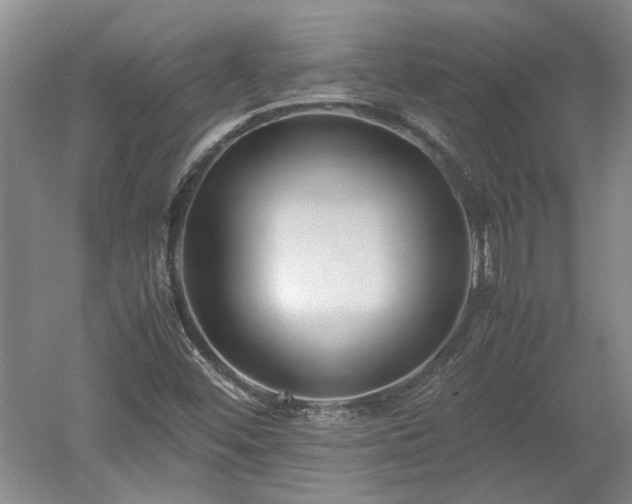 X0000060551452200511101525