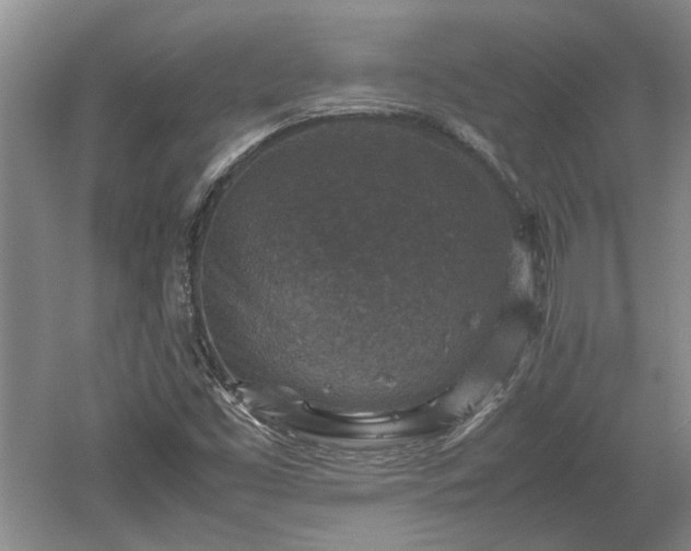 X0000060551453200511101525